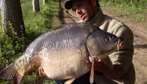 A 32 lb carp from Old Oaks, May 2006