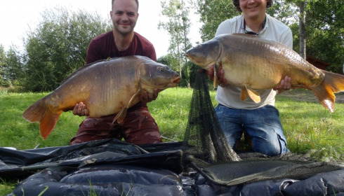 A carp from Old Oaks, James Wainwright, Sep 2014