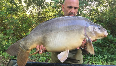 A 48 lb 6 oz carp from Old Oaks, May 2015