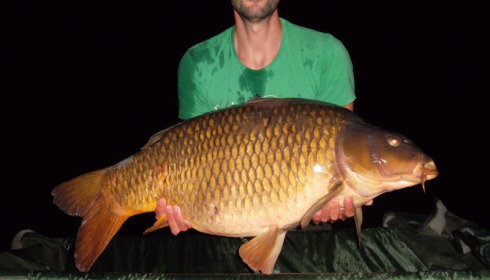 A 43 lb carp from Old Oaks, Adam Watts, Aug 2013
