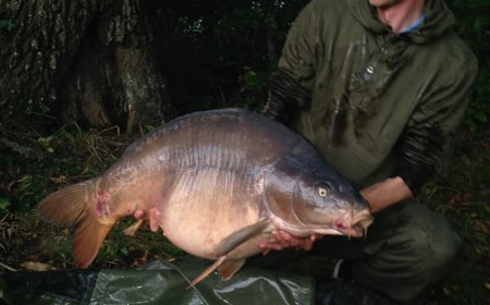 A 42 lb carp from Old Oaks, M Hughes, Oct 2013