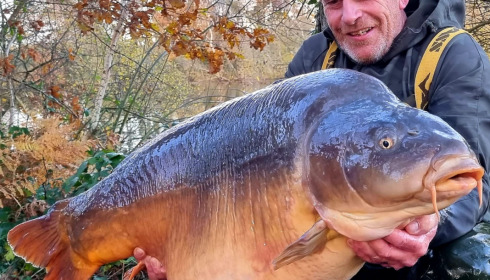 A fish from Old Oaks, Mirror, Nov 2021