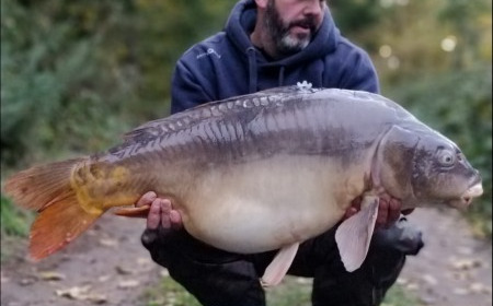 A carp from Old Oaks, Nov 2018