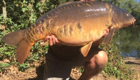 A carp from Old Oaks, Martin Brown, Sep 2016