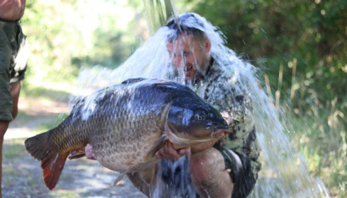 A 55 lb 4 oz carp from Old Oaks, Ian Murray, Jul 2017