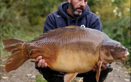 A carp from Old Oaks, Nov 2018