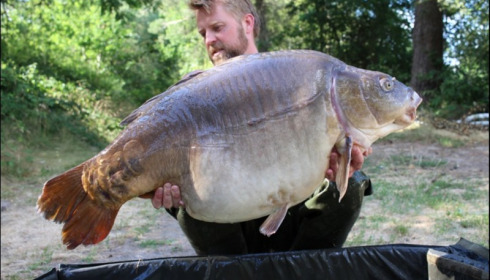 A carp from Old Oaks, Mark Gilbert, Jul 2019