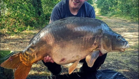 A carp from Old Oaks, Aug 2018