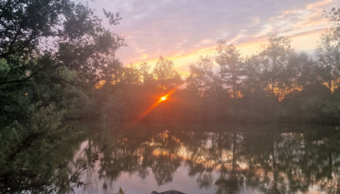 A fish from Old Oaks, Jul 2022
