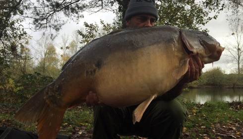 A carp from Old Oaks, Adrian Storer, Nov 2015