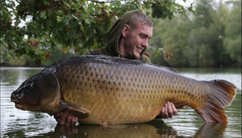 A 71 lb carp from Old Oaks, Daniel Akerman, Oct 2019