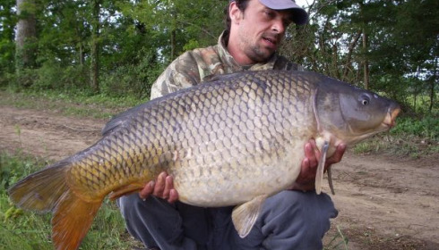 A 37 lb carp from Old Oaks, New lake record common !, May 2006