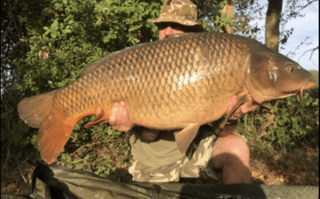 A 54 lb 10 oz carp from Old Oaks, Sep 2019