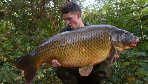 A 62 lb carp from Old Oaks, Stuart Lemon, Oct 2014