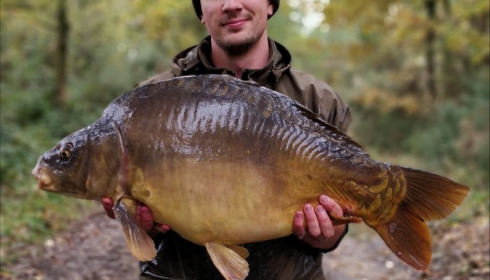 A carp from Old Oaks, Nov 2018