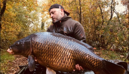 A 56 lb 12 oz carp from Old Oaks, Nov 2018