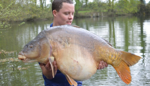 A 50 lb 4 oz carp from Old Oaks, Apr 2015