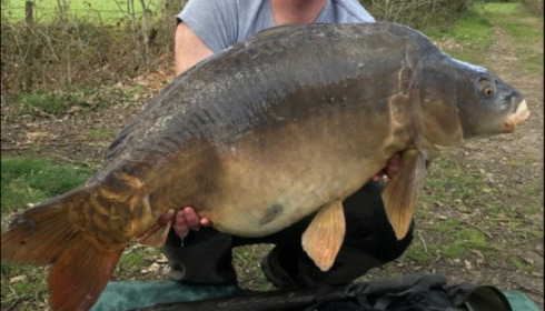 A 49 lb carp from Old Oaks, Dave Farman, Mar 2019