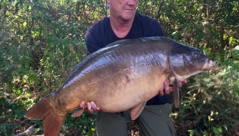 A 38 lb 8 oz carp from Old Oaks, Glen Brooks, Sep 2016