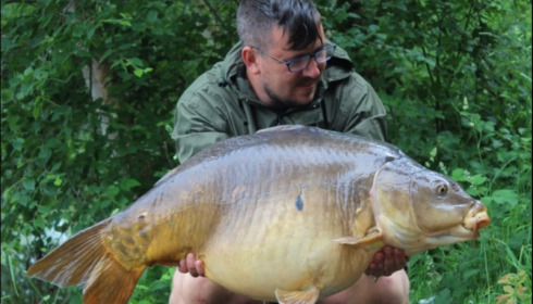 A 49 lb 13 oz carp from Old Oaks, Adam King, May 2018