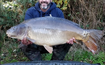A carp from Old Oaks, Nov 2018
