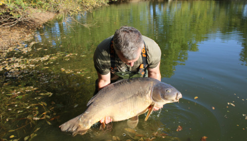 A 51 lb 12 oz fish from Old Oaks, Oct 2022
