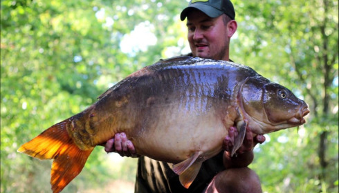 A carp from Old Oaks, Lee Heath, Jul 2019