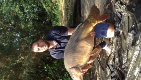 A 50 lb carp from Old Oaks, Sean Lackenby, Aug 2015