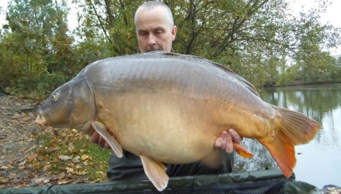 A 52 lb carp from Old Oaks, Kevin Wicks, Oct 2015