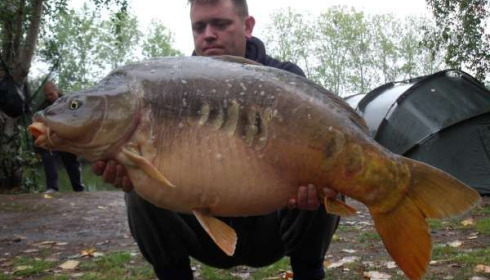 A 40 lb 7 oz carp from Old Oaks, Steven Eamonson, Sep 2010