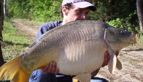 A 29 lb carp from Old Oaks, May 2006