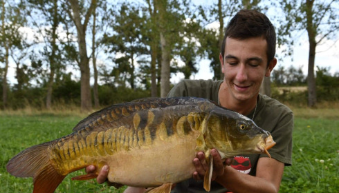 A carp from Ragon, Oct 2022