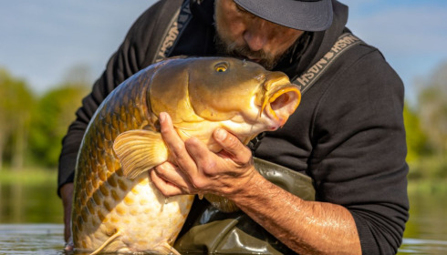 A carp from Ragon, May 2022
