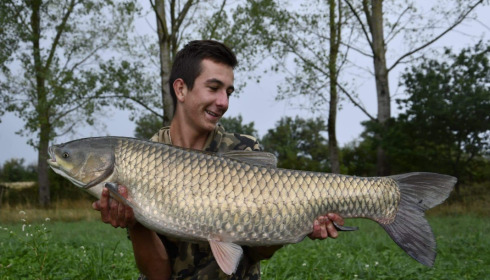 A grass carp from Ragon, Oct 2022