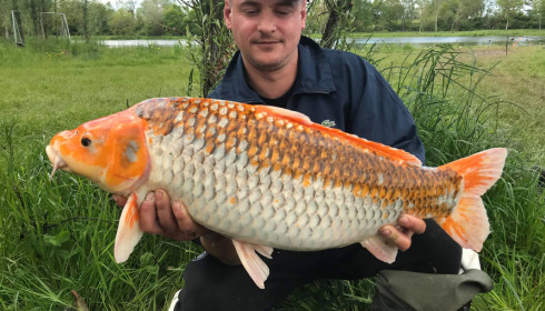 A carp from Ragon, Jun 2021