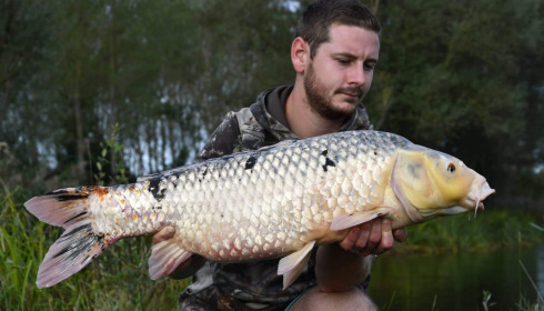 A carp from Ragon, Oct 2022