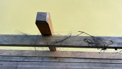A fish from Ragon, One of the bundles of line i went a retrieved in my boat after loosing a decent size common, Jul 2023
