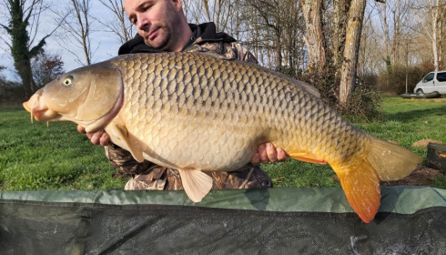 A carp from Ragon, Mar 2023