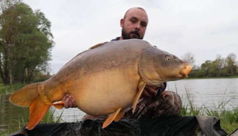 A carp from Ragon, Jun 2021