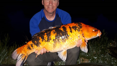 A fish from Ragon, Biggest koi, Jul 2021