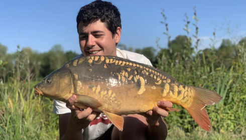 A carp from Ragon, Jul 2022