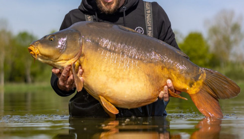 A carp from Ragon, May 2022