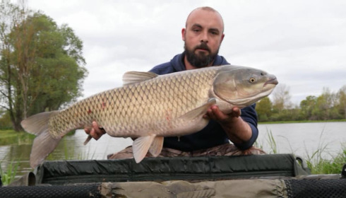 A grass carp from Ragon, Jun 2021