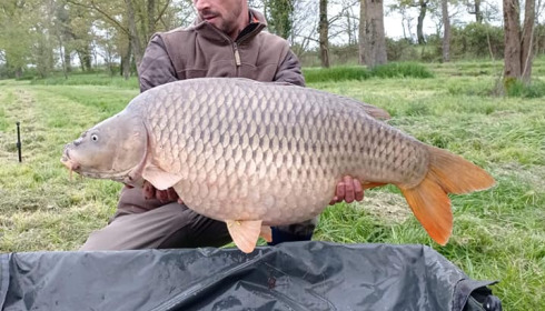 A carp from Ragon, Apr 2021