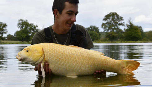 A carp from Ragon, Oct 2022