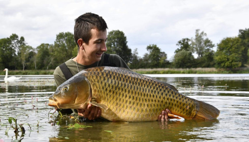 A carp from Ragon, Oct 2022