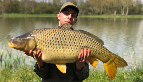 A carp from Ragon, Apr 2021