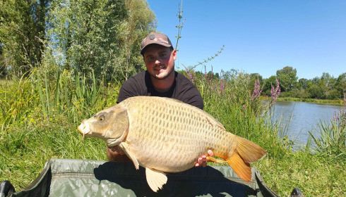 A carp from Ragon, Jul 2022