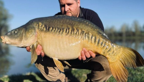 A carp from Ragon, Apr 2021
