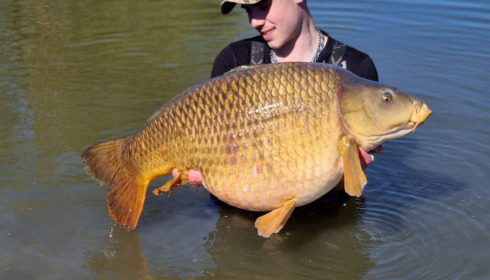 A carp from Ragon, May 2022